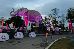 BIB: 
                            <button type="button" onclick="openModal(26529501)" class="btn btn-primary btn-sm float-right btn-popup" data-toggle="modal" data-target=".modal-high-quality">
                        <i class="fas fa-shopping-cart"></i> Add to Cart
                    </button>
                                            <button type="button" onclick="isThisMe(26529501, true)" class="btn btn-success btn-sm float-right btn-popup btn-isme hidden" data-toggle="tooltip" data-placement="bottom" title="นี่คือรูปของคุณใช่ไหม คลิกที่นี่เพื่อเอาเข้าอัลบั้ม">
                        <i class="fas fa-plus"></i> Add to album
                    </button>
                    <button type="button" onclick="isThisMe(26529501, false)" class="btn btn-warning btn-sm float-right btn-popup btn-isnotme hidden">
                        <i class="fas fa-ban"></i> Remove from album
                    </button>